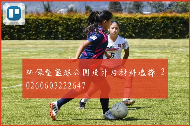 环保型篮球公园设计与材料选择_20260603222647