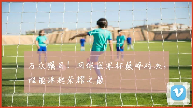 万众瞩目!网球国家杯巅峰对决,谁能捧起荣耀之巅