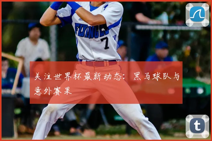 关注世界杯最新动态：黑马球队与意外赛果