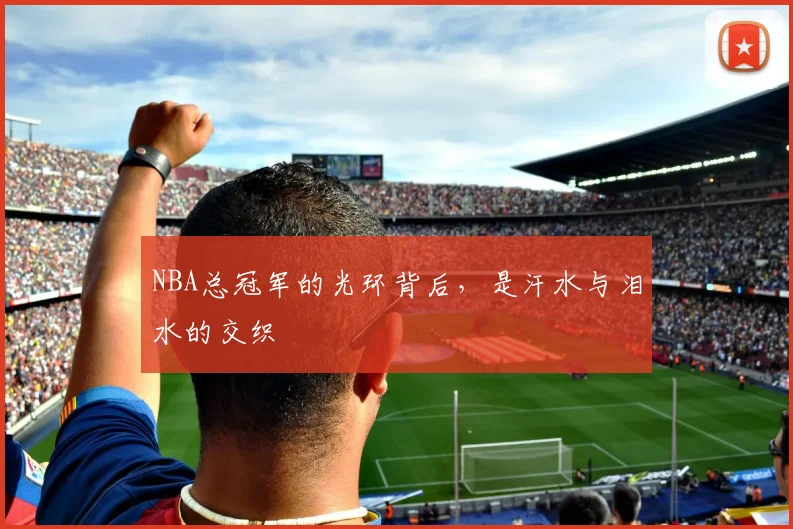 NBA总冠军的光环背后,是汗水与泪水的交织