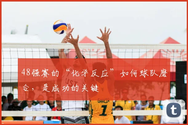 48强赛的“化学反应”如何球队磨合，是成功的关键